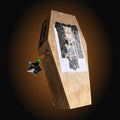The Starlit Ankh